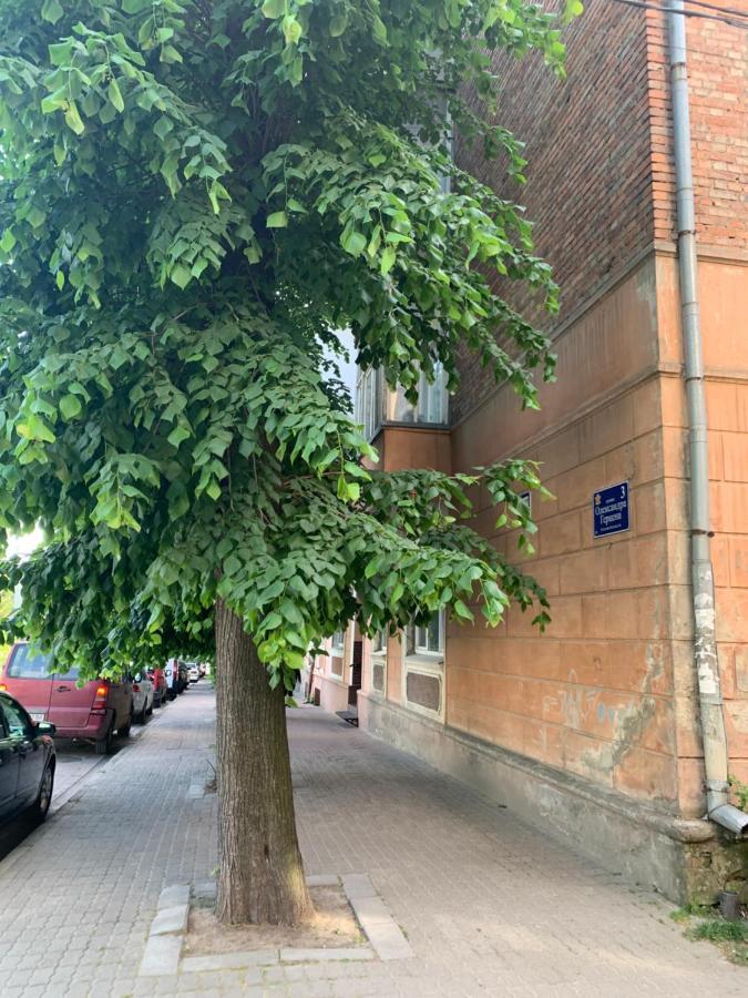 Vel Люкс Apartment Chernivtsi Ngoại thất bức ảnh